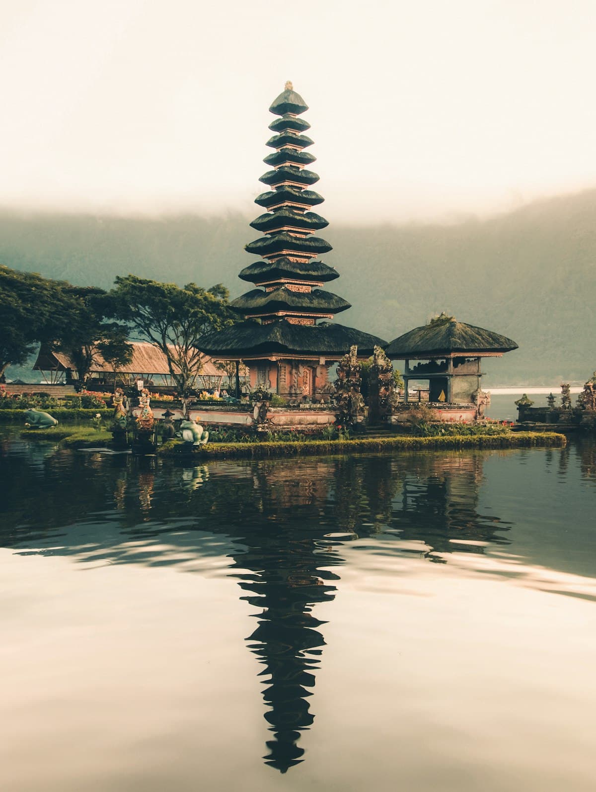 Bali pirinç tarlaları